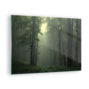 Glasbild - Bild auf glas - Ein dunkler Wald, in Nebel gehüllt, mit Lichtstrahlen - 70x50cm - Bevor er aufwacht - Moderne Wanddekoration für Wohnzimmer und Schlafzimmer ARTTOR