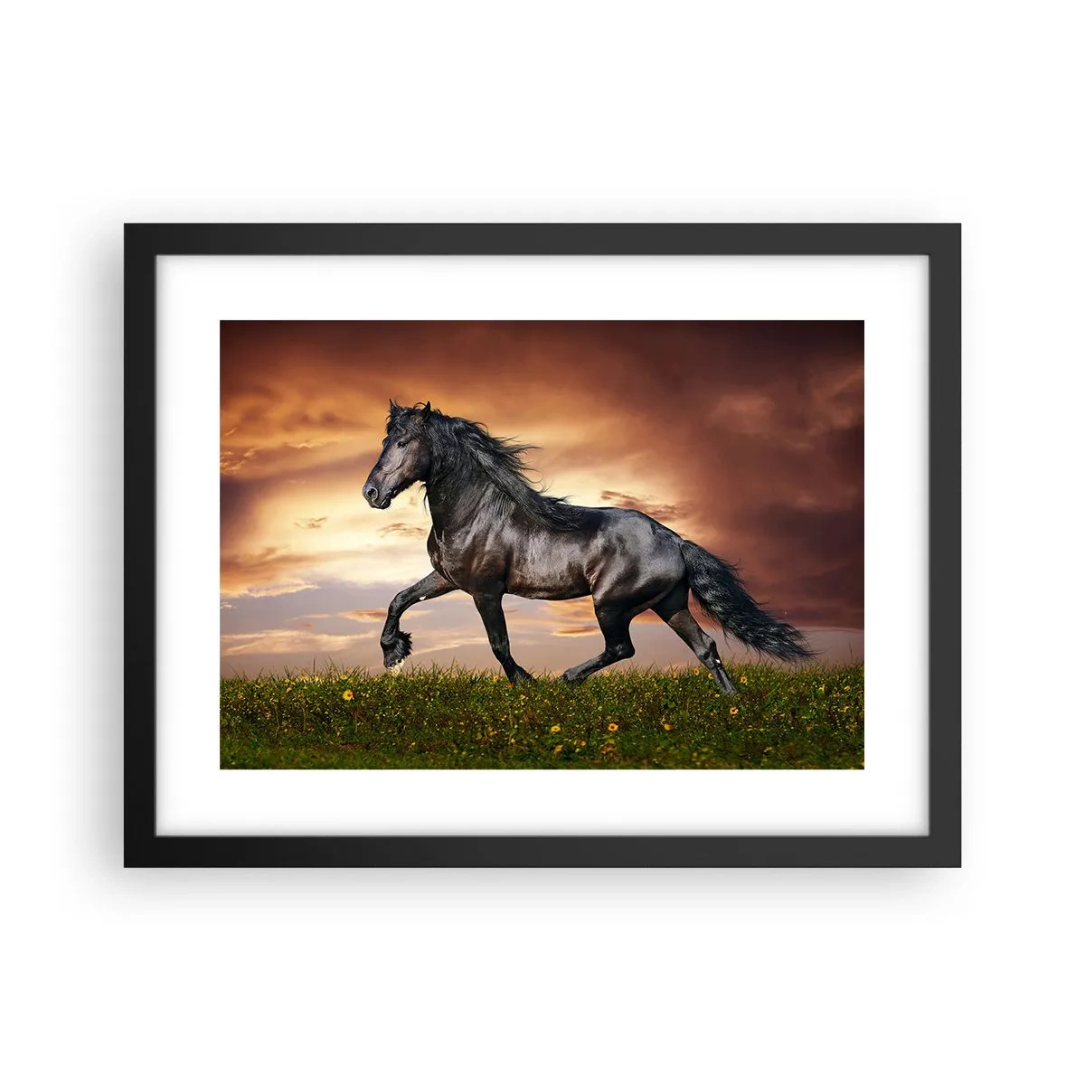 Poster in einem schwarzem Rahmen - Schwarzer Prinz - 40x30 cm