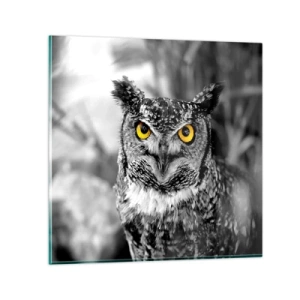 Glasbild - Bild auf glas - Nichts wird sich verstecken - 60x60 cm