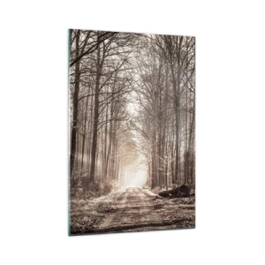 Glasbild - Bild auf glas - Ein Waldweg zwischen sepiafarbenen Bäumen - 70x100cm - Waldkathedrale - Moderne Wanddekoration für Wohnzimmer und Schlafzimmer ARTTOR