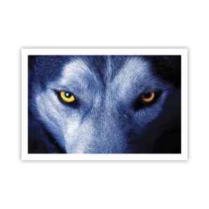 Poster - Faszinierender Blick - 91x61 cm