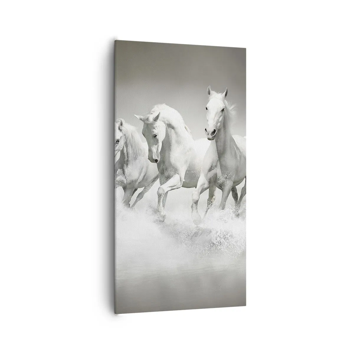 Bild auf Leinwand - Leinwandbild - Weißer Wahnsinn - 65x120 cm