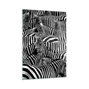 Glasbild - Bild auf glas - Eine Herde Zebras in Monochrom - 50x70cm - Gestreiftes Gruppenportrait - Moderne Wanddekoration für Wohnzimmer und Schlafzimmer ARTTOR