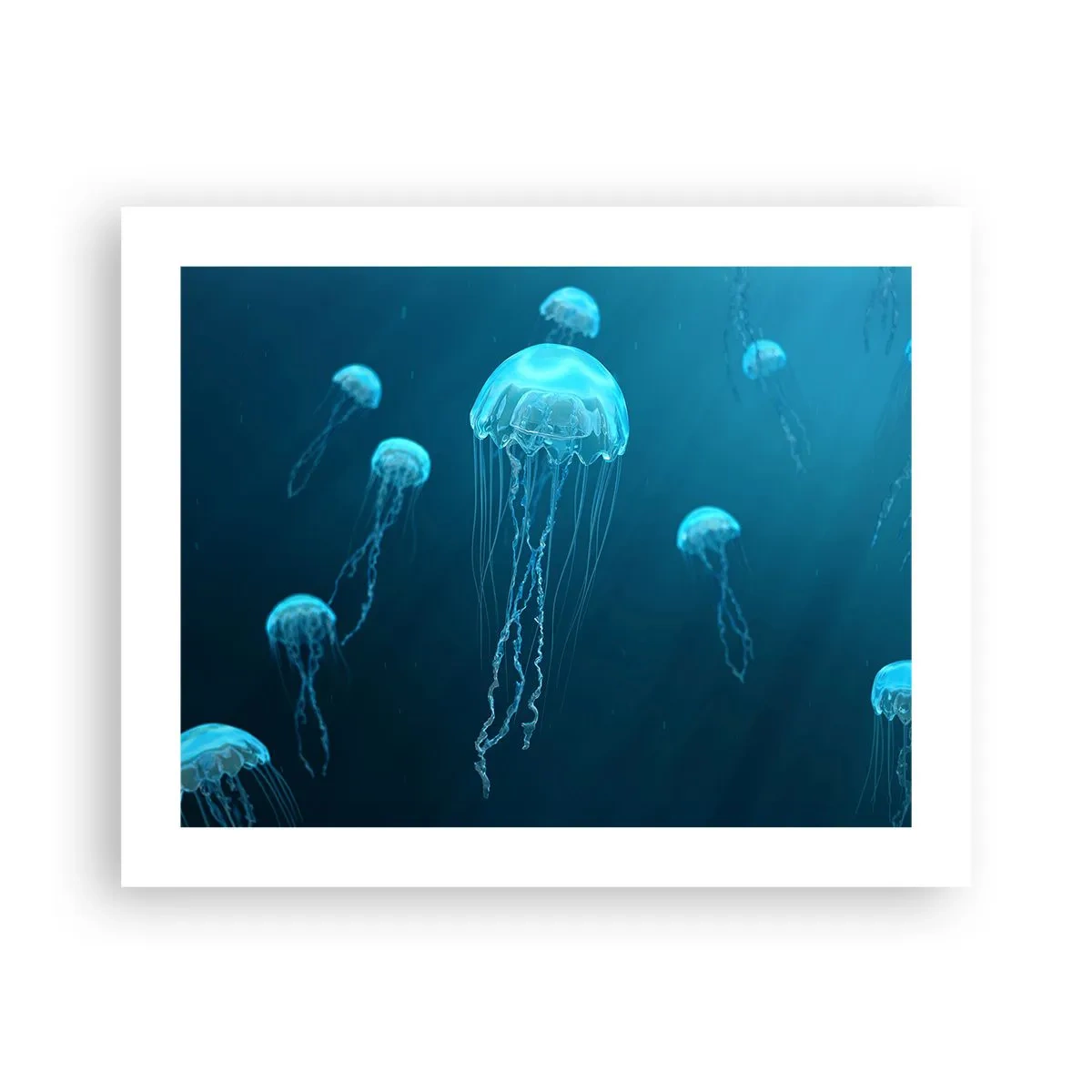 Poster - Ozeantanz - 50x40 cm