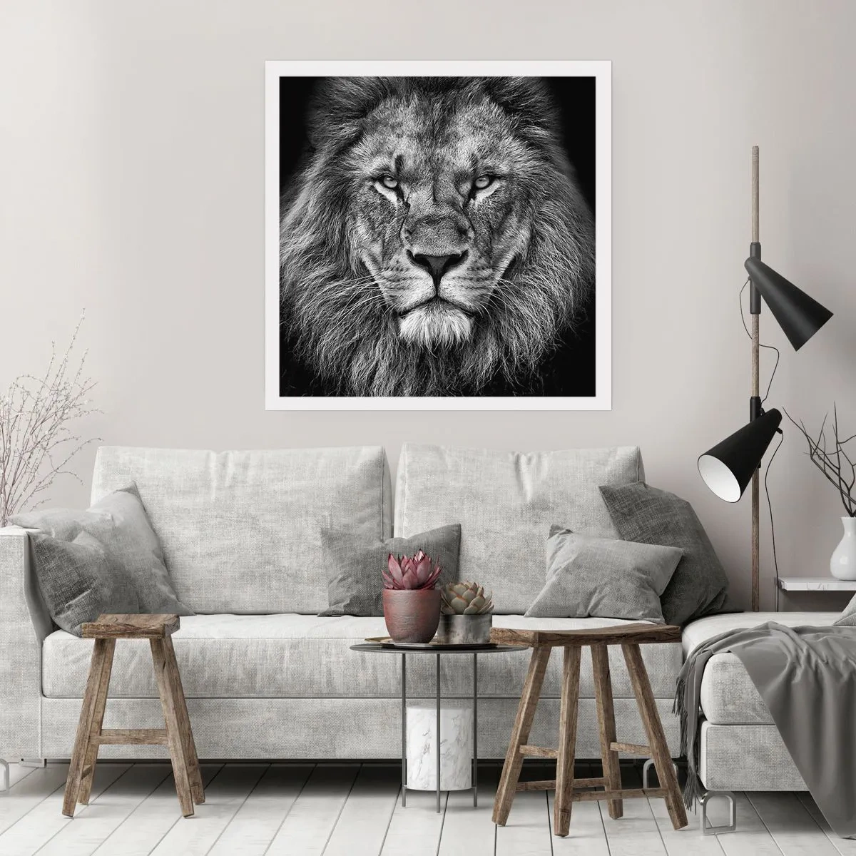 Poster - Im Krönungsgewand - 40x40 cm