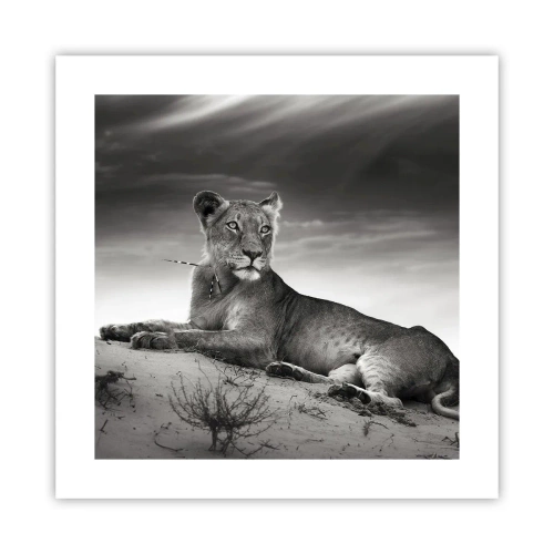 Poster - Die Königin der Wüstenruhe - 40x40 cm