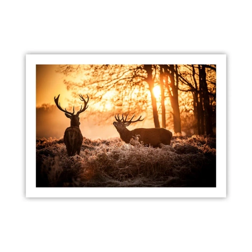 Poster - Der Traum eines Jägers - 70x50 cm