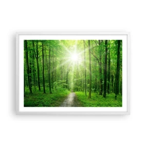 Poster in einem weißen Rahmen - Die grüne Kathedrale - 70x50 cm