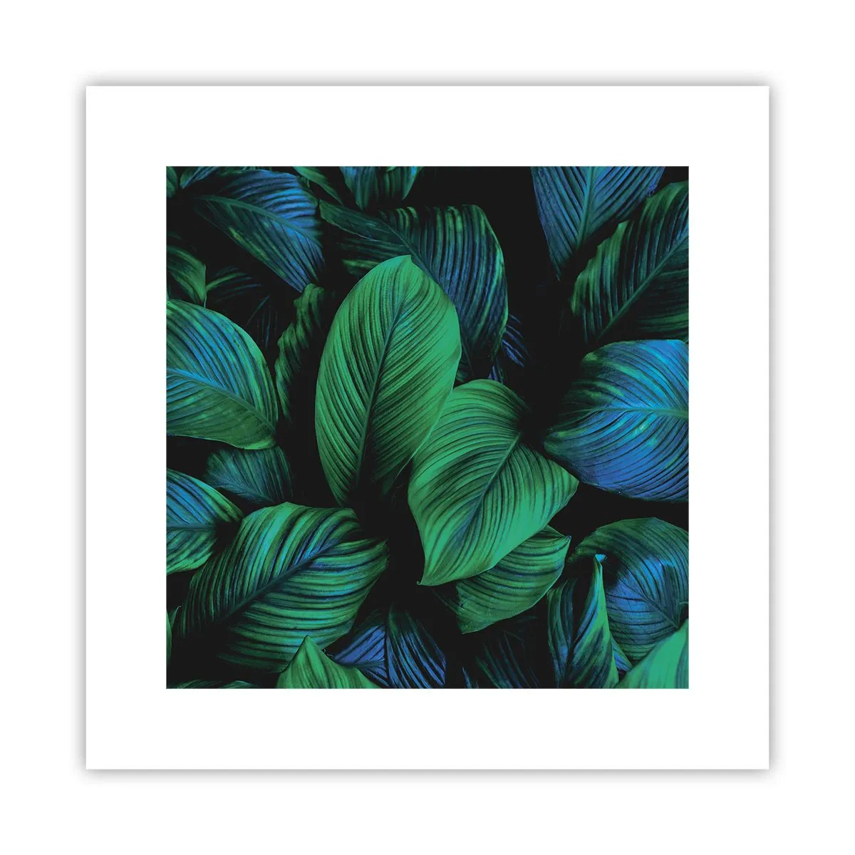 Poster - In der grünen Menge - 30x30 cm