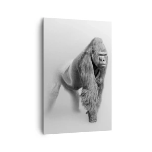 Bild auf Leinwand - Leinwandbild - Gorilla in monochromen Tönen auf weißem Hintergrund - 80x120cm - Zuversichtlich in seiner Stärke - Moderne Wanddekoration für Wohnzimmer und Schlafzimmer ARTTOR