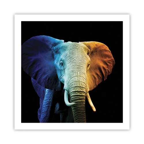 Poster - Exzentrisch, kein Verrückter - 60x60 cm