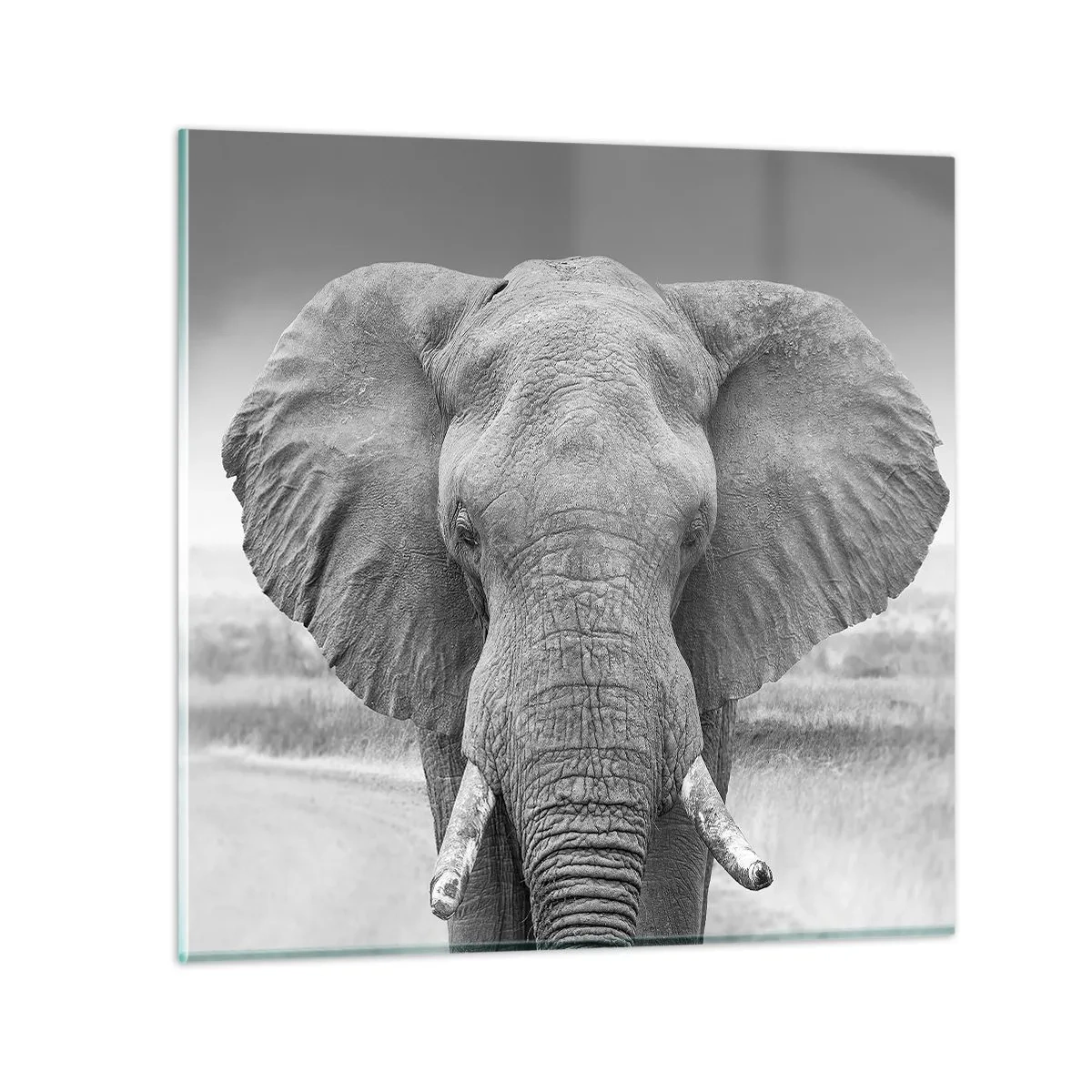 Glasbild - Bild auf glas - Willkommen in meiner Welt - 60x60 cm