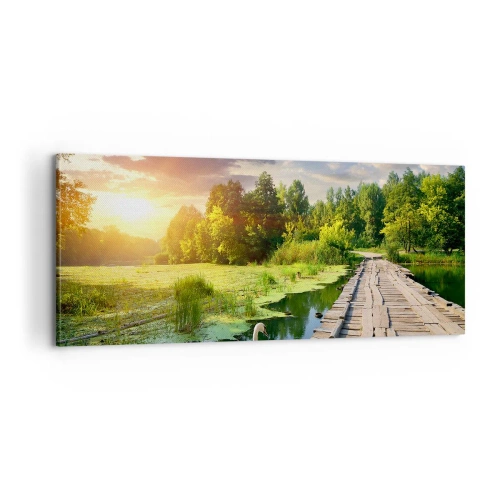 Bild auf Leinwand - Leinwandbild - Sommer, Sommer überall - 100x40 cm