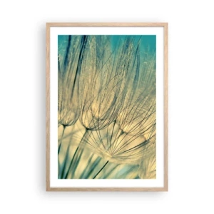 Poster in einem Rahmen aus heller Eiche - In Erwartung des Windes - 50x70 cm