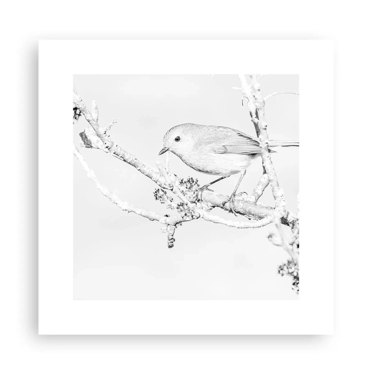 Poster - Wintermorgen - 30x30 cm