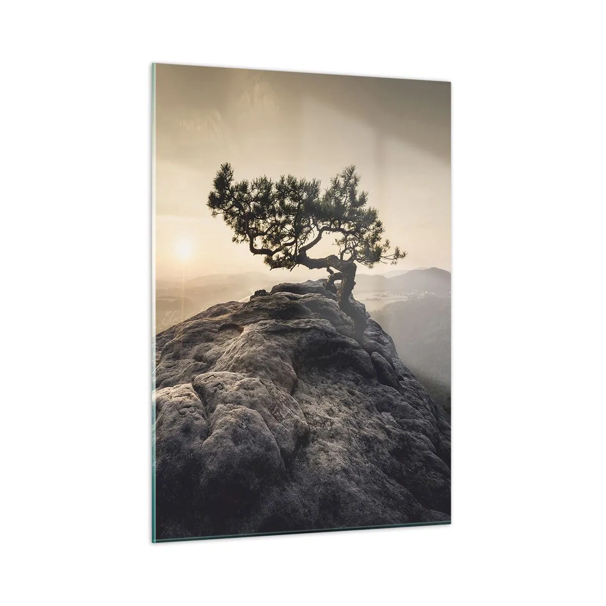 Glasbild - Bild auf glas - Ein Baum auf einem Felsen im Licht der aufgehenden Sonne - 50x70cm - Das Leben gewinnt immer - Moderne Wanddekoration für Wohnzimmer und Schlafzimmer ARTTOR