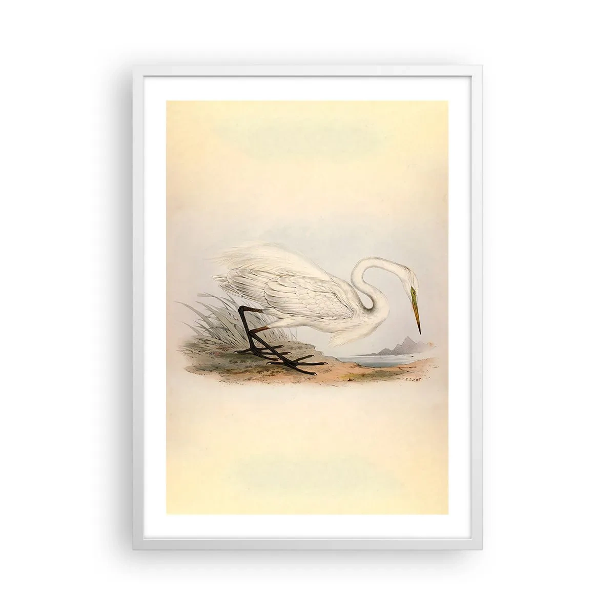 Poster in einem weißen Rahmen - Dame auf den Binsen - 50x70 cm