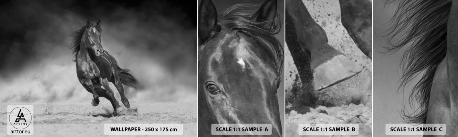 Fototapetenmuster Standard Eco - Würdig des Emirs selbst - Pferd, Tiere, Natur - 100x30 cm