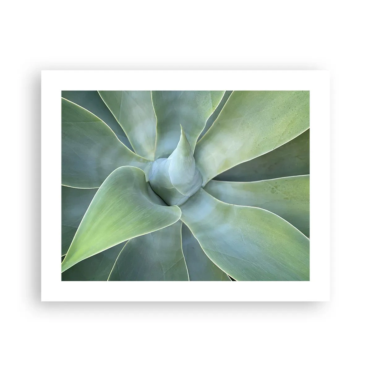 Poster - Geburt des Grüns - 50x40 cm