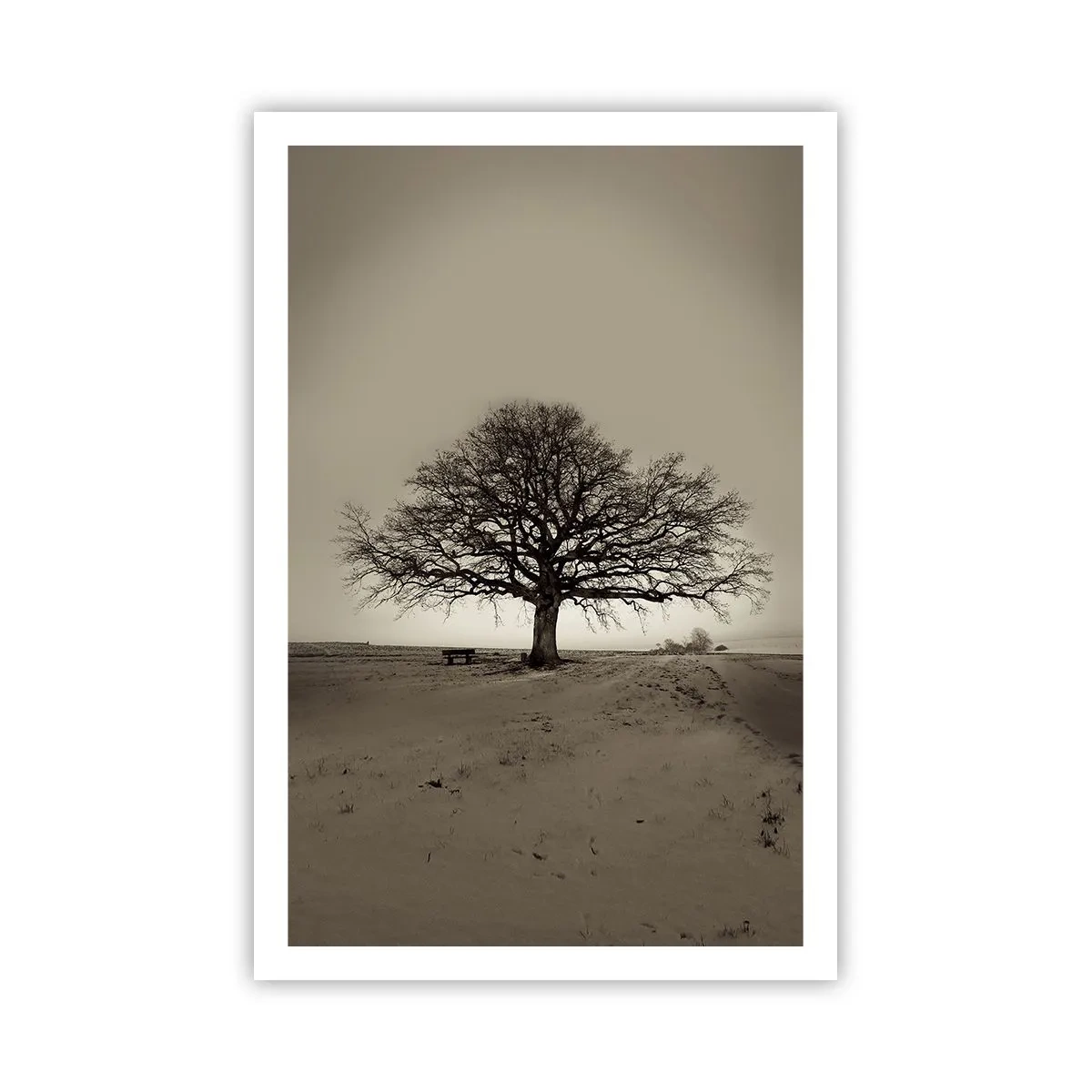 Poster - Von hier zu Ewigkeit - 61x91 cm