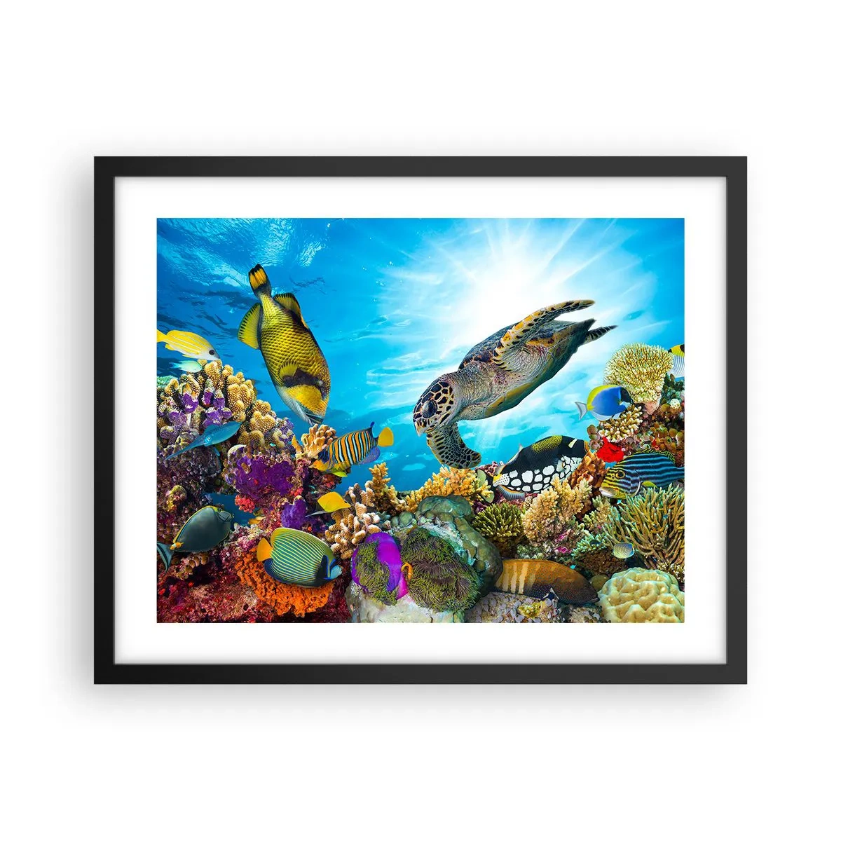 Poster in einem schwarzem Rahmen - Korallenpromenade - 50x40 cm