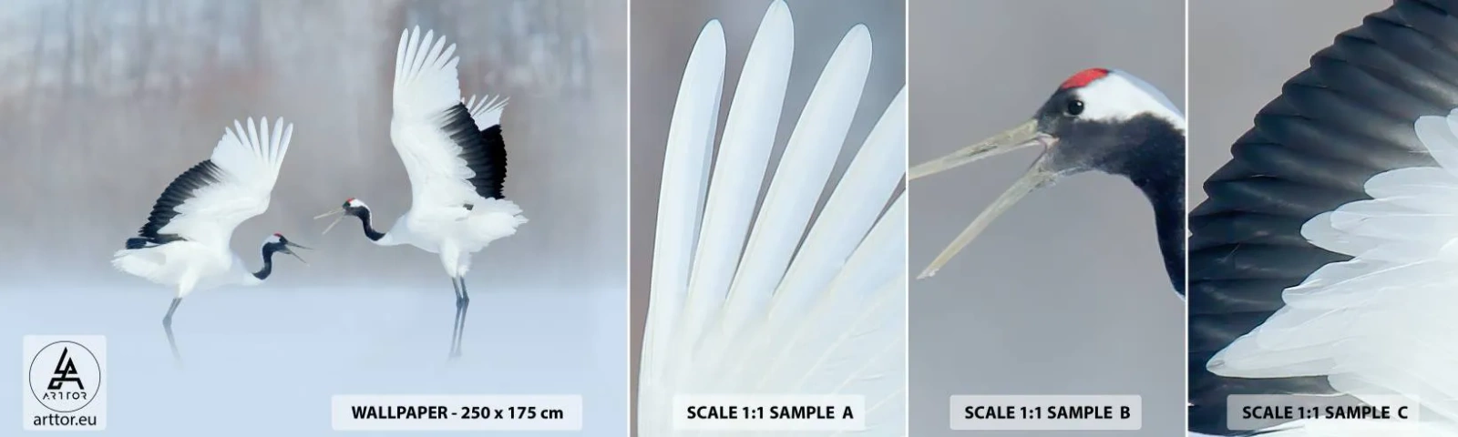 Fototapeten Muster Selbstklebend Deluxe Sticker - Tanz im Nebel - Winter, Vogel, Natur - 100x30 cm