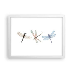 Poster in einem weißen Rahmen - Schwerelose Libellen - 40x30 cm