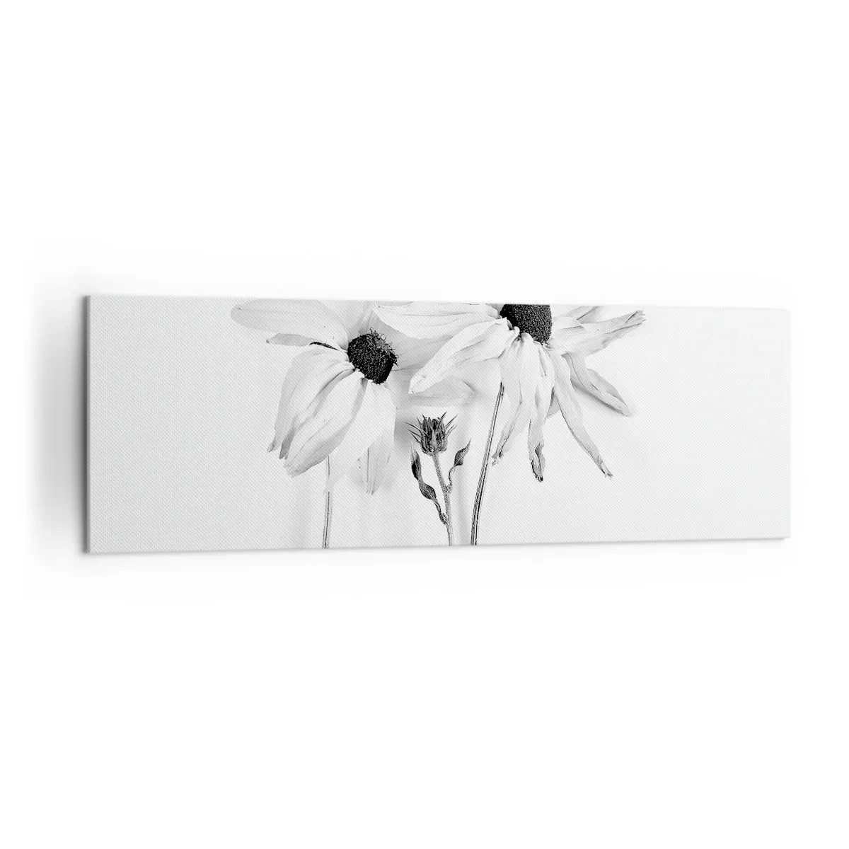 Bild auf Leinwand - Leinwandbild - Schwarz-weiße Blumen mit subtiler Komposition - 160x50cm - Niemand will allein sein - Moderne Wanddekoration für Wohnzimmer und Schlafzimmer ARTTOR