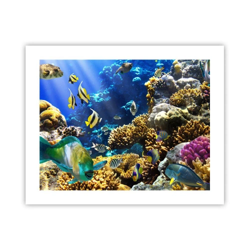 Poster - Viel Verkehr auf dem Ferienweg - 50x40 cm