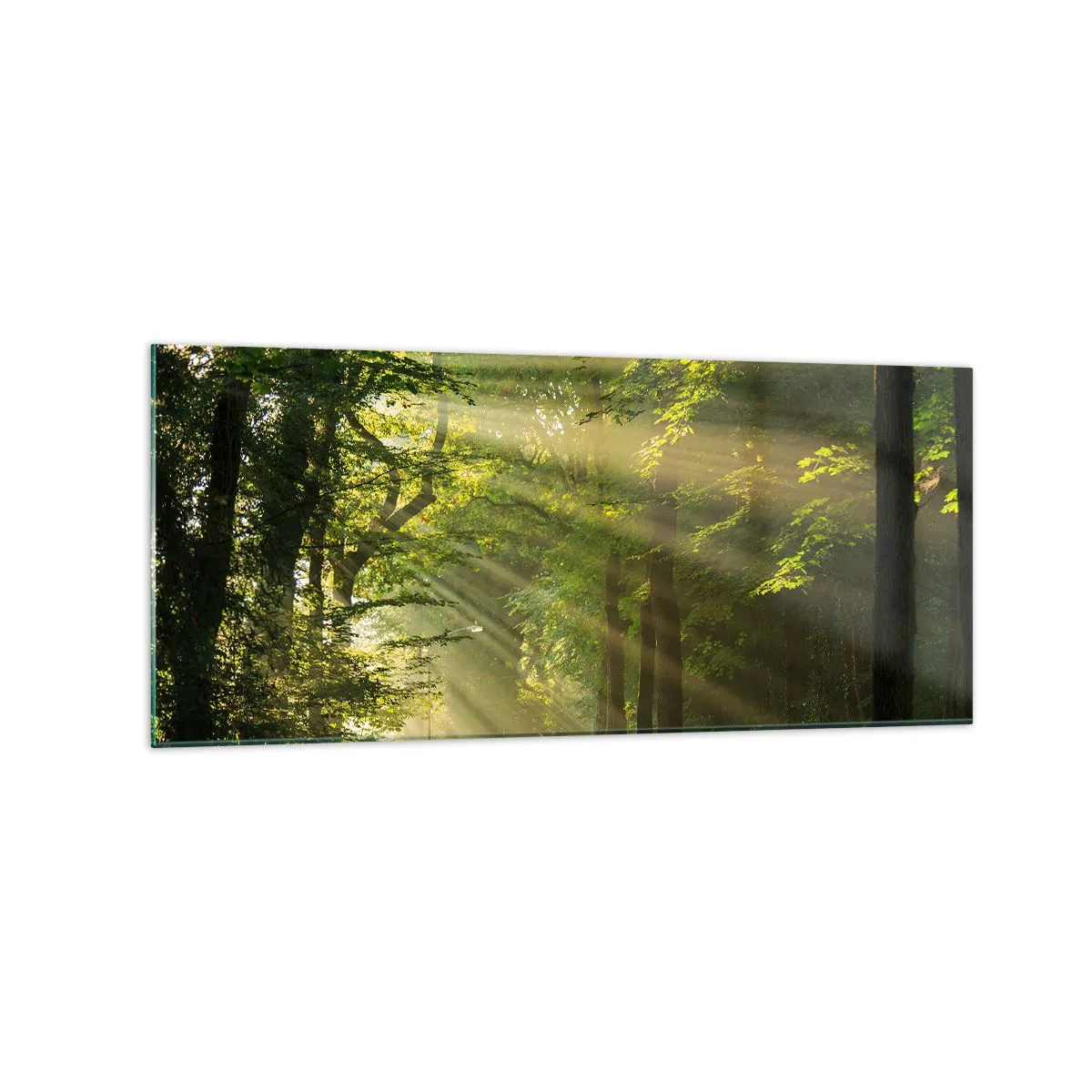 Glasbild - Bild auf glas - Waldweg mit Sonnenstrahlen, die durch die Bäume scheinen - 120x50cm - Waldmoment - Moderne Wanddekoration für Wohnzimmer und Schlafzimmer ARTTOR