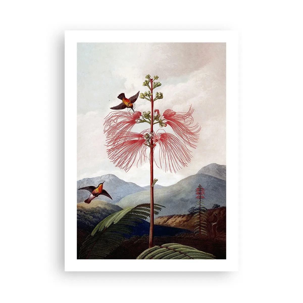 Poster - Exotische Blume mit Kolibris zwischen den Bergen - 50x70cm - In einem tropischen Paradies - Moderne Wanddekoration für Wohnzimmer und Schlafzimmer ARTTOR