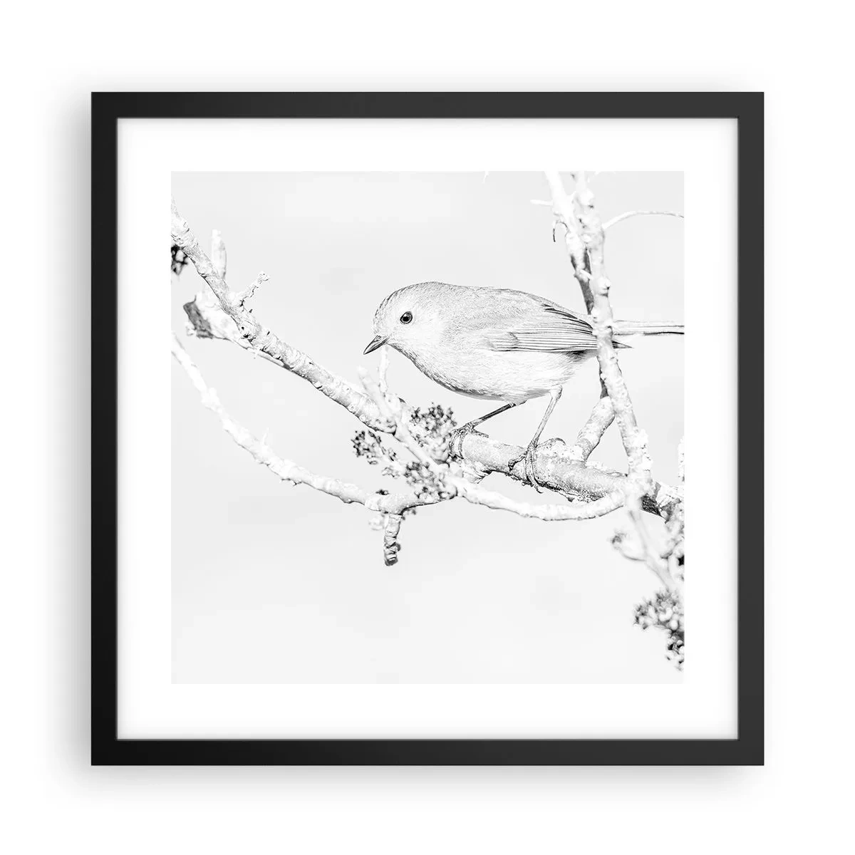 Poster in einem schwarzem Rahmen - Wintermorgen - 40x40 cm