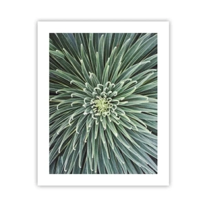 Poster - Ein Star ist geboren - 40x50 cm