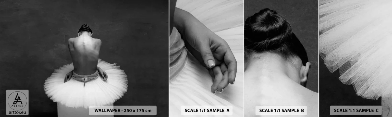 Fototapetenmuster Standard Eco - Es blüht gerade - Ballerina, Tanzen, Ballett - 100x30 cm