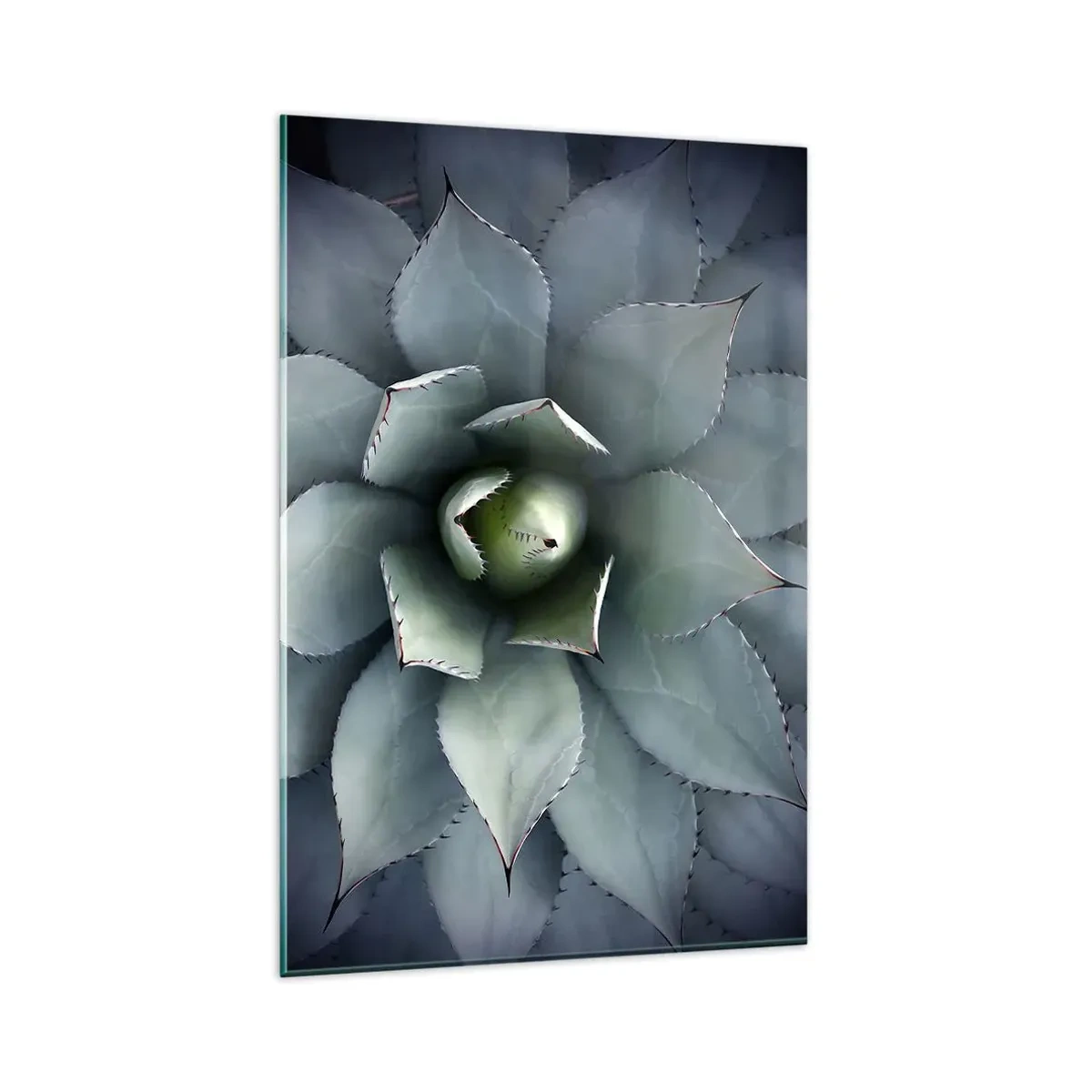 Glasbild - Bild auf glas - Nahaufnahme einer Agavenrosette in zarten Grüntönen - 80x120cm - Es lockt an und warnt - Moderne Wanddekoration für Wohnzimmer und Schlafzimmer ARTTOR