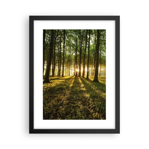 Poster in einem schwarzem Rahmen - Alle Frühlingsfotografie - 30x40 cm