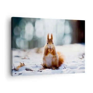 Bild auf Leinwand - Leinwandbild - Ein Eichhörnchen in einer Winterlandschaft - 70x50cm - Wo schaust du hin? - Moderne Wanddekoration für Wohnzimmer und Schlafzimmer ARTTOR