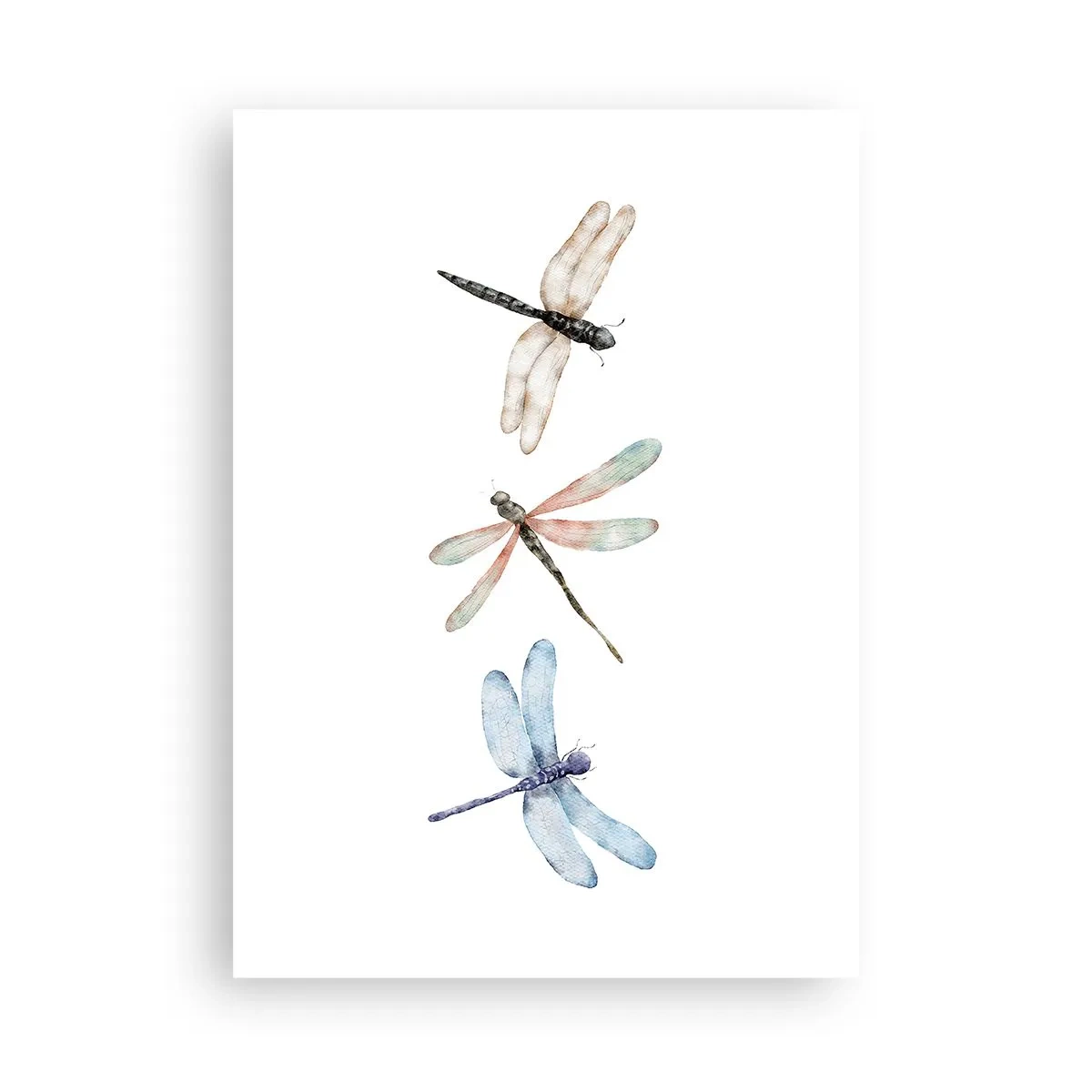 Poster - Drei Libellen in Aquarell gemalt - 50x70cm - Schwerelose Libellen - Moderne Wanddekoration für Wohnzimmer und Schlafzimmer ARTTOR