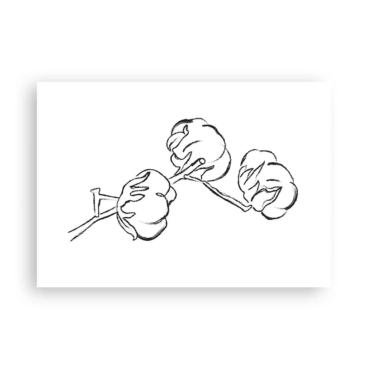 Poster - Ein zarter Umriss eines Baumwollzweigs auf weißem Hintergrund - 100x70cm - Baumwolldaunen - Moderne Wanddekoration für Wohnzimmer und Schlafzimmer ARTTOR