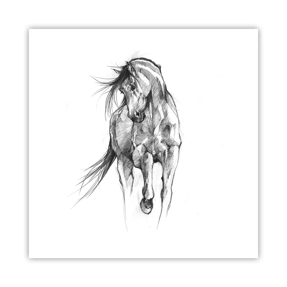 Poster - Im anmutigen Trab - 60x60 cm