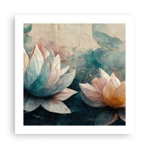 Poster - Seesterne - 50x50 cm