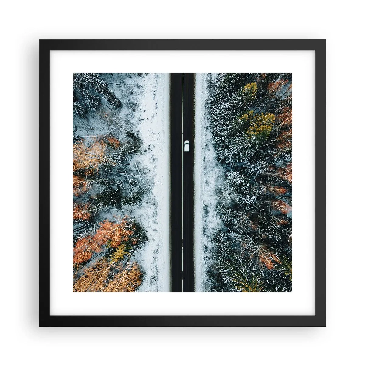 Poster in einem schwarzem Rahmen - Schnitt durch den Winterwald - 40x40 cm