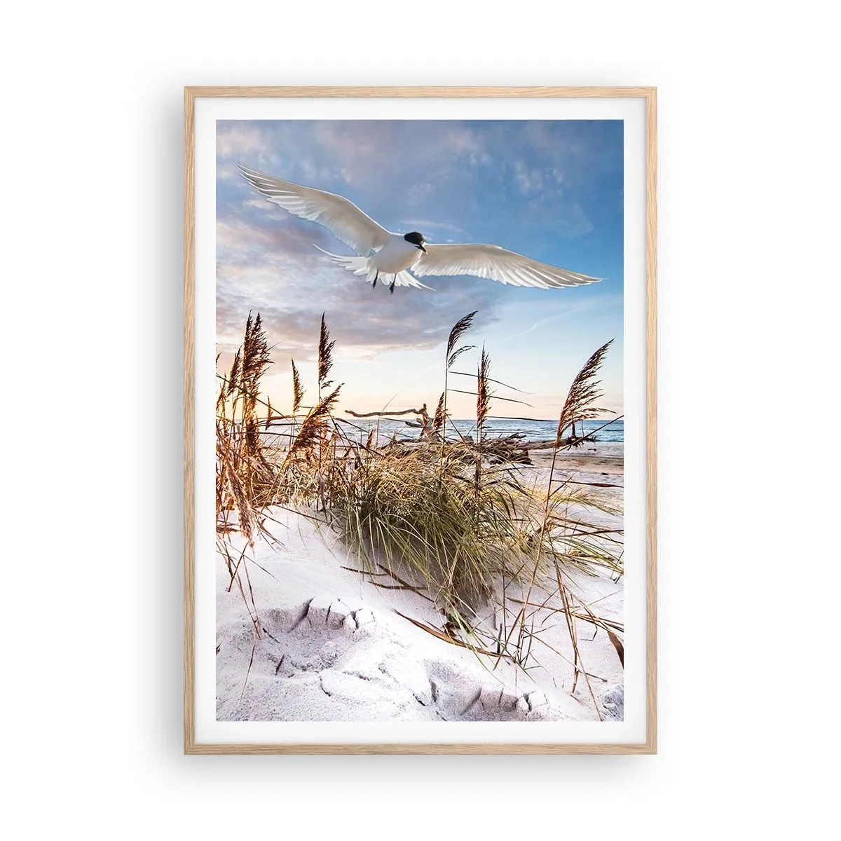 Poster in einem Rahmen aus heller Eiche - Wind vom Meer - 70x100 cm