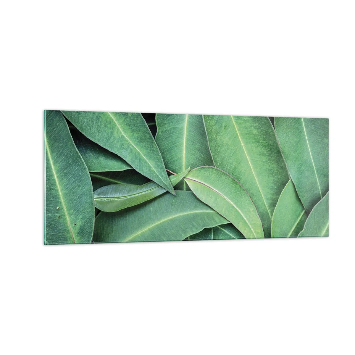 Glasbild - Bild auf glas - Saftig und frisch - 100x40 cm