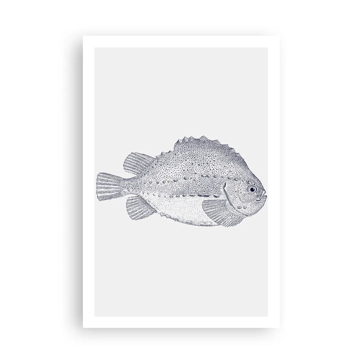 Poster - Für das Album des Naturforschers - 61x91 cm