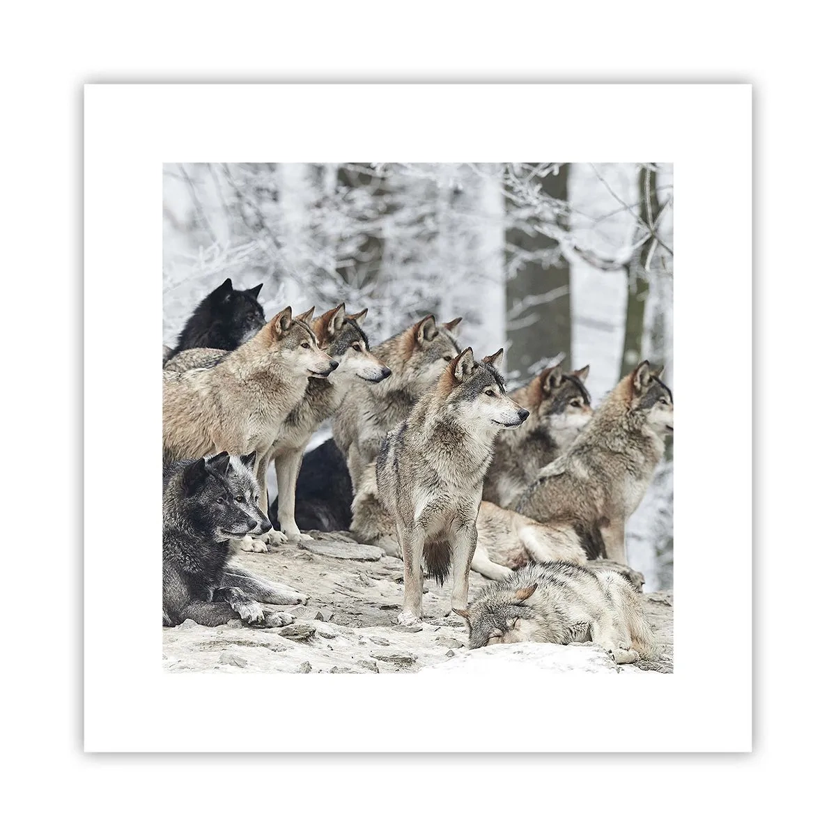Poster - Familie und Freunde - 30x30 cm