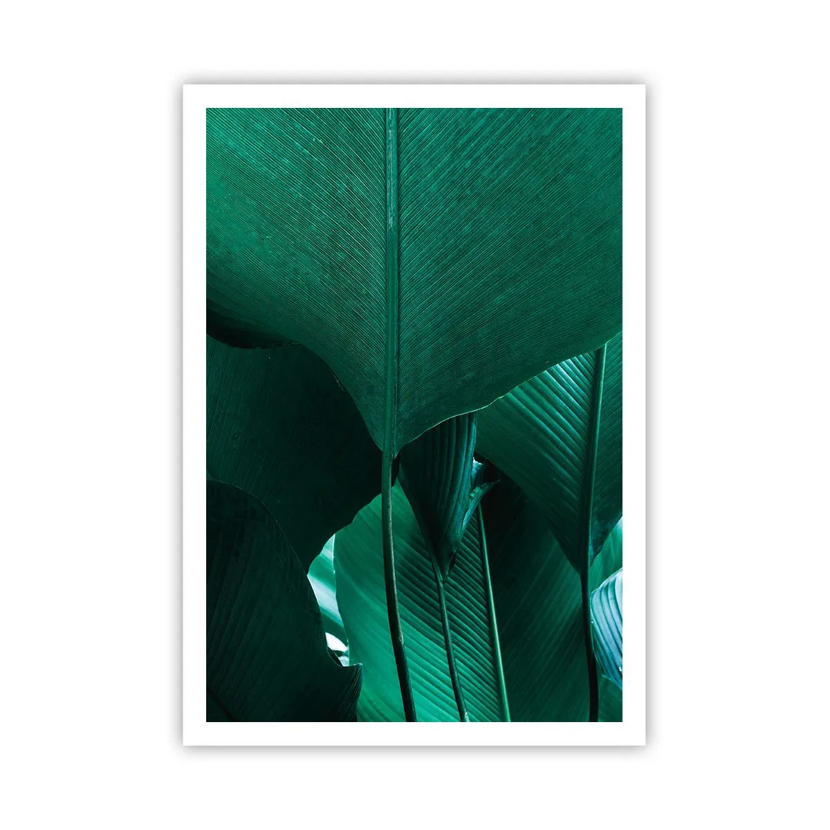 Poster - Dem Licht zugewandt - 70x100 cm