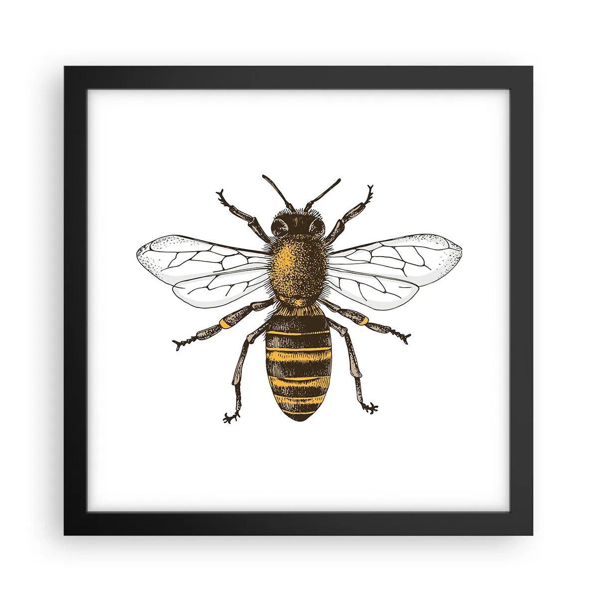 Poster in einem schwarzem Rahmen - Schön und gut - 30x30 cm