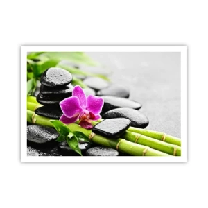 Poster - Lila Orchidee, schwarze Steine und Bambus in einer ruhigen Komposition - 100x70cm - In ruhiger Balance - Moderne Wanddekoration für Wohnzimmer und Schlafzimmer ARTTOR