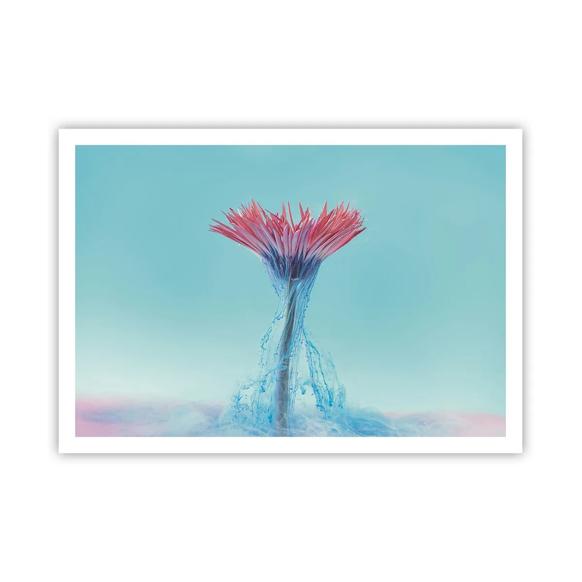 Poster - Eine rosa und blaue Blume in einem künstlerischen Arrangement vor einem pastellfarbenen Hintergrund - 100x70cm - In einer belebenden Umarmung - Moderne Wanddekoration für Wohnzimmer und Schlafzimmer ARTTOR
